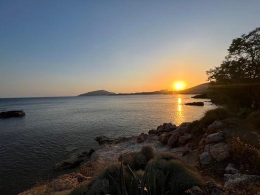 Sounio Studio Sunion Eksteriør bilde